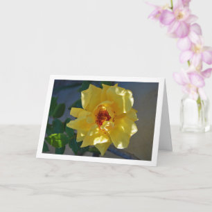 Carte Portrait de rose jaune