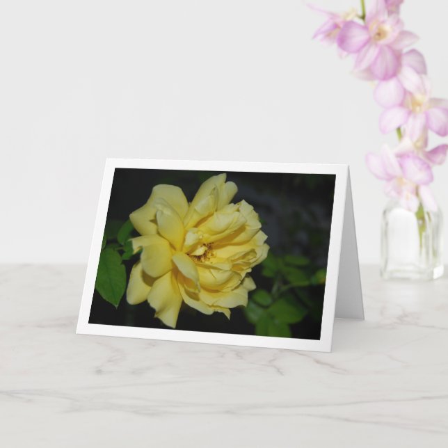 Carte Portrait de rose jaune la nuit (Orchidée)