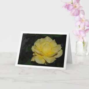 Carte Portrait de rose jaune la nuit