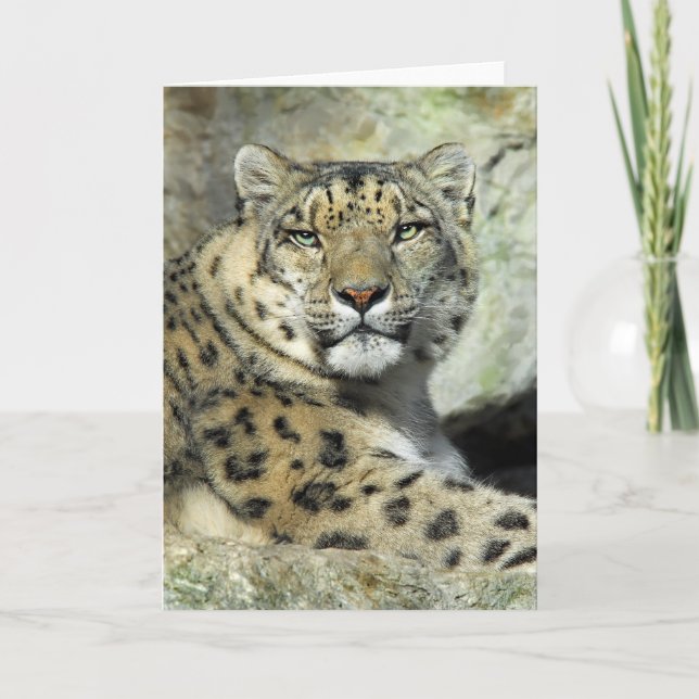 Carte portrait de Snow (Devant)