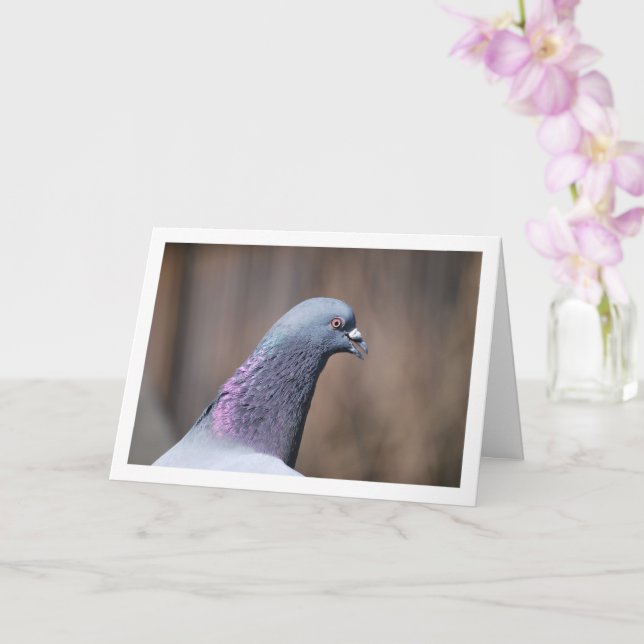 Carte Portrait de tête de pigeon (Orchidée)