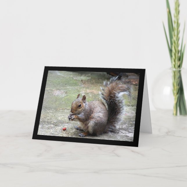 Carte Portrait d'Écureuil Gris (Devant)