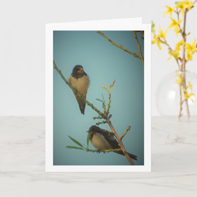 Carte Portrait d'Elégant Swallow Birds (Fleur jaune)