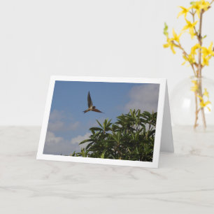 Carte Portrait d'hirondelle de grange