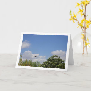 Carte Portrait du pays de l'hirondelle de grange