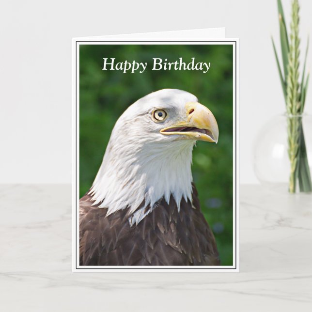 Carte Portrait d'un aigle à tête blanche Joyeux annivers (Devant)