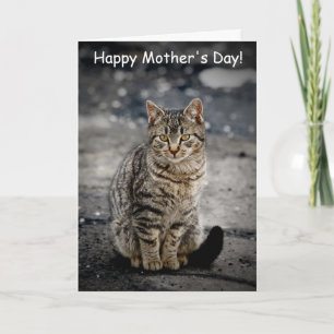 Carte Portrait d'un chat