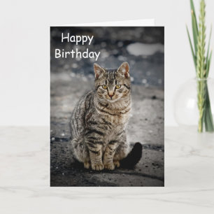 Carte Portrait d'un chat