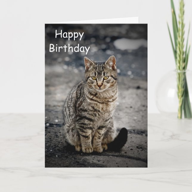 Carte Portrait d'un chat (Devant)