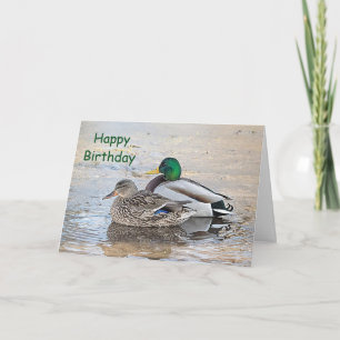 Carte Portrait d'un colvert mâle et femelle