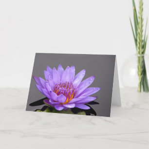 Carte Portrait d'un nénuphar pourpre