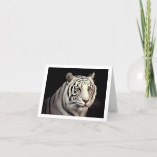 Carte Portrait d'un tigre de Bengale blanc