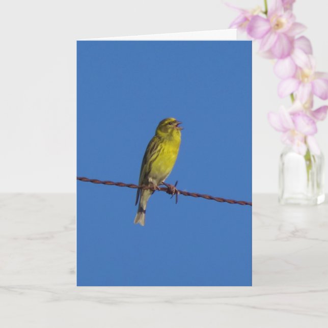 Carte Portrait européen Serin Bird (Orchidée)