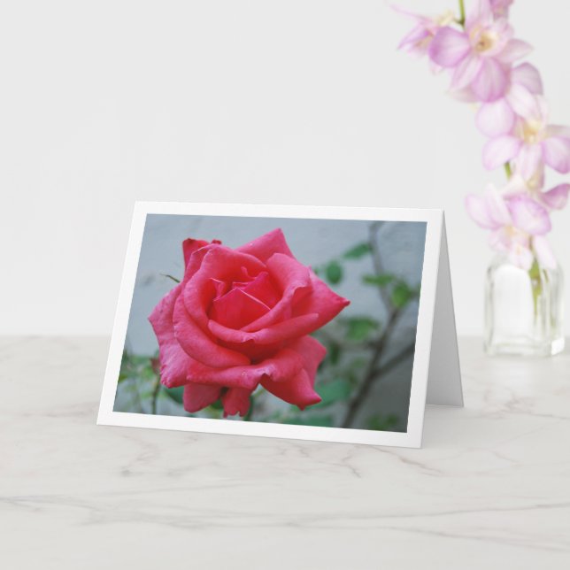 Carte Portrait floral de rose rose (Orchidée)