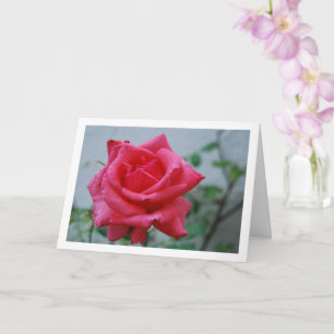 Carte Portrait floral de rose rose