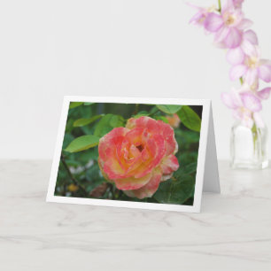 Carte Portrait floral de rose rose et jaune