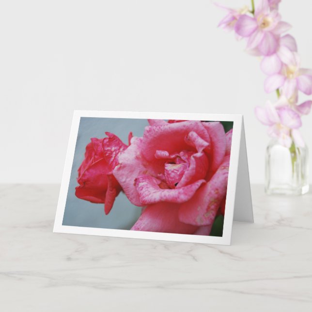 Carte Portrait floral de roses roses (Orchidée)