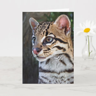 Carte Portrait Ocelot Feline