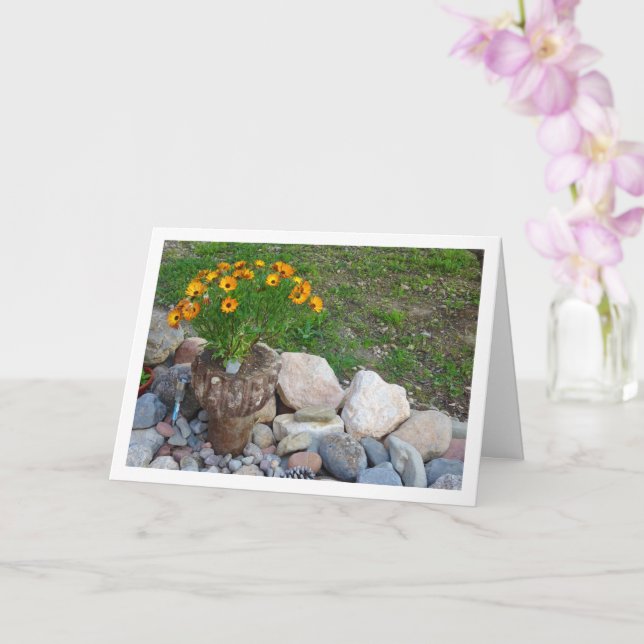 Carte Portrait Orange African Daisies (Orchidée)