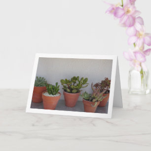 Carte Portrait Plante Succulent