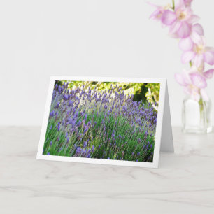 Carte Portrait Wild Lavender
