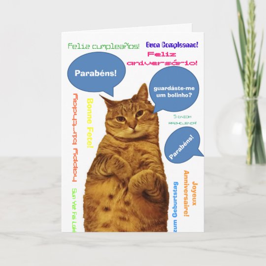 Carte Portugais Parabens Chat Idiot Zazzle Fr
