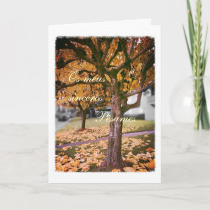 Carte Portuguese sympathy card/condolencias: Fall tree