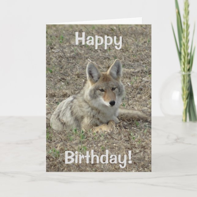 Carte Pose du coyote R22 (Devant)