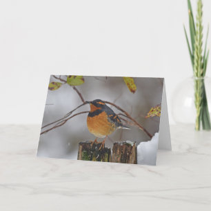 Carte Poses de poussée variée dans la neige sur un art e