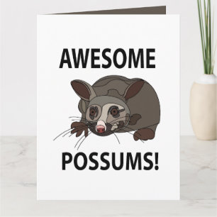 Carte PosSommes Des Possum Drôle