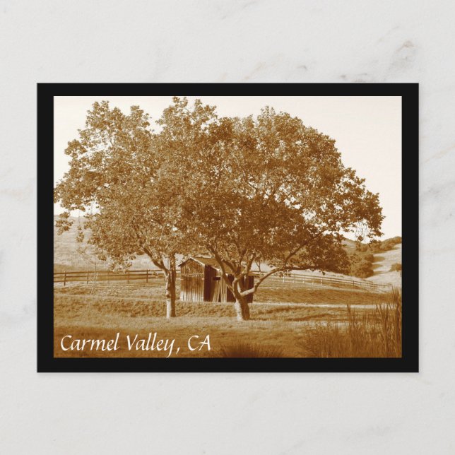 Carte postale (Devant)