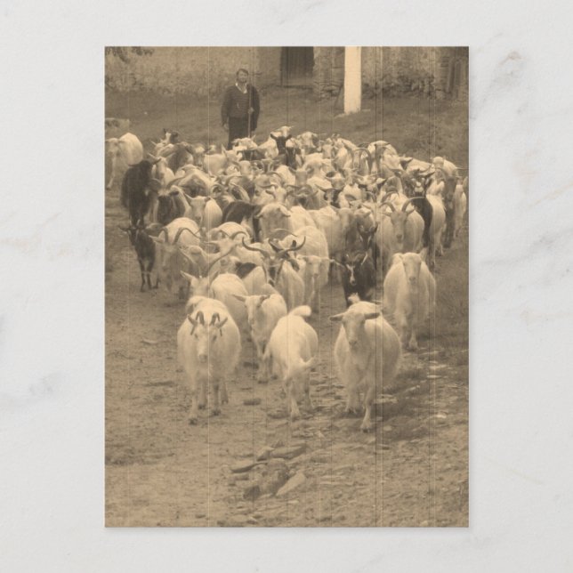 Carte postale (Devant)