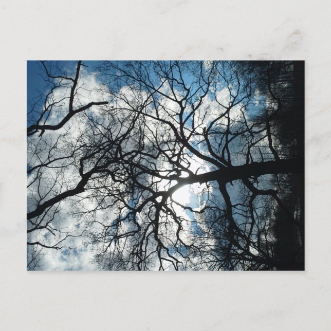 Carte postale (Devant)