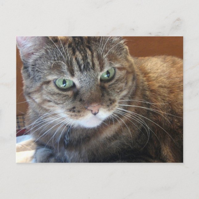 Carte postale (Devant)