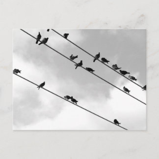 Carte postale