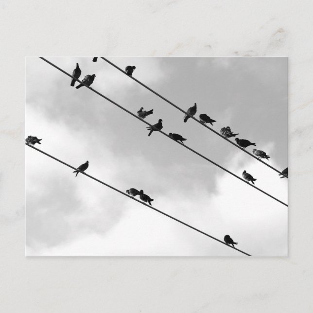 Carte postale (Devant)