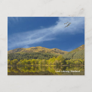 Carte postale