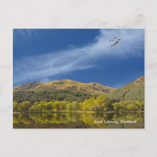 Carte postale (Devant)