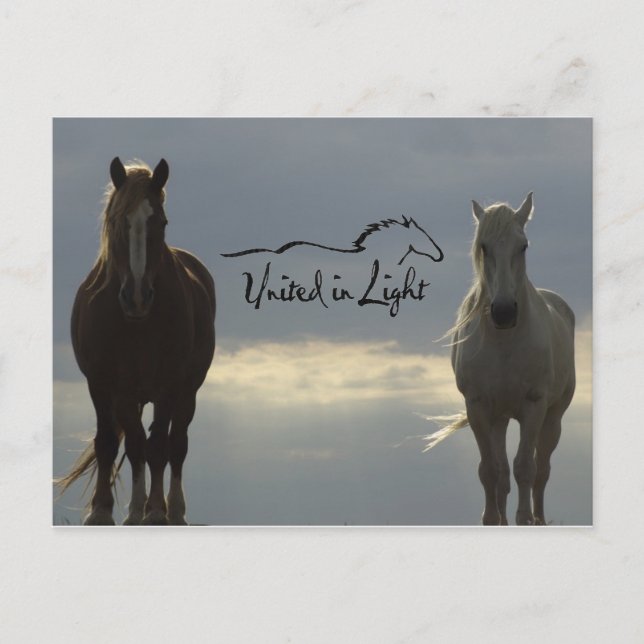 Carte postale (Devant)