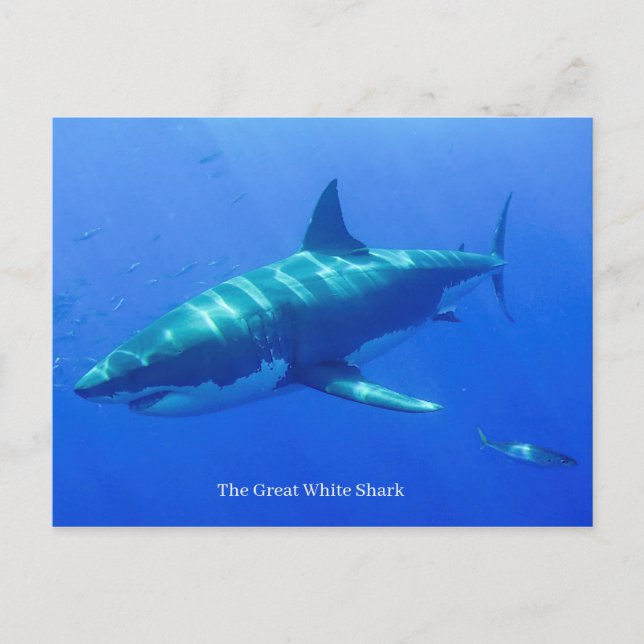 Carte postale (Devant)