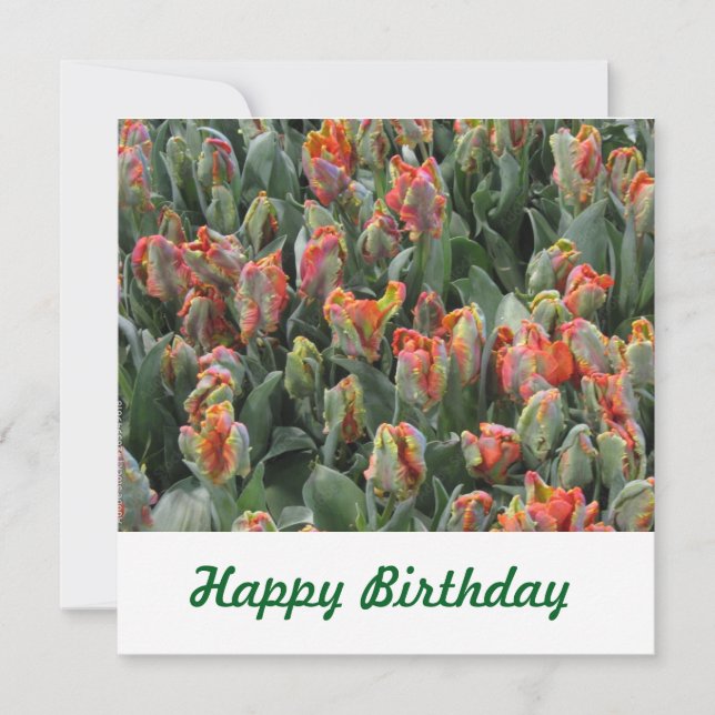 Carte postale (Devant)