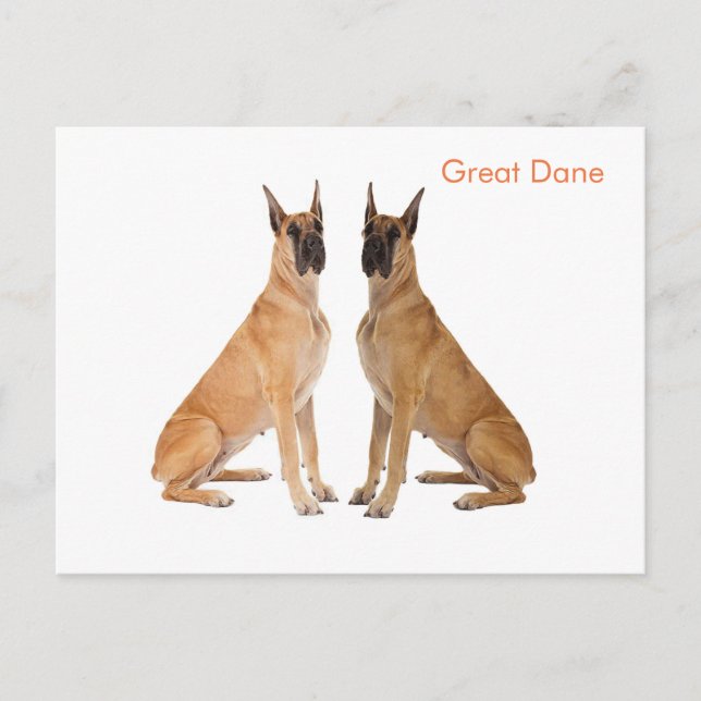 Carte postale (Devant)