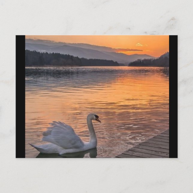 Carte postale (Devant)