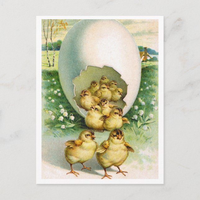 Carte postale (Devant)