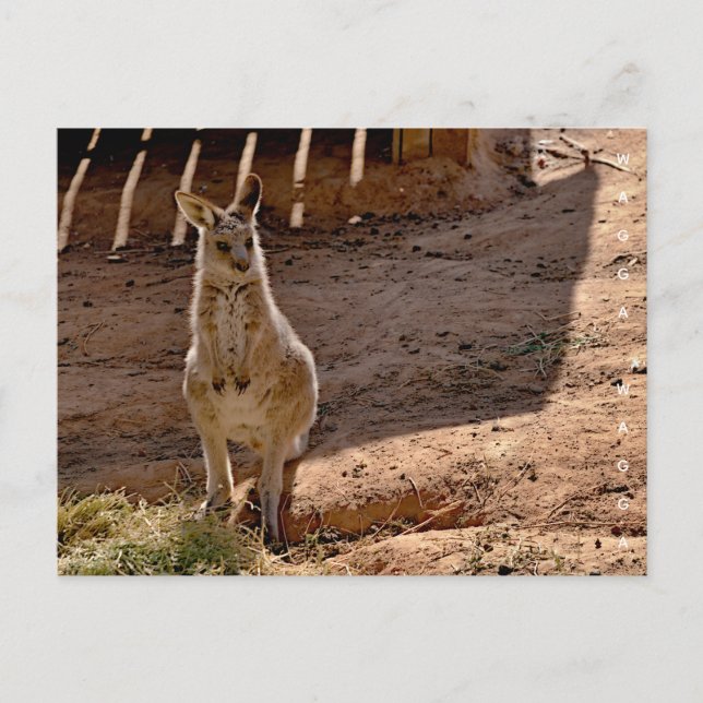 Carte postale (Devant)