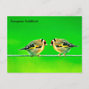Carte postale