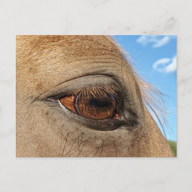 Carte postale (Devant)