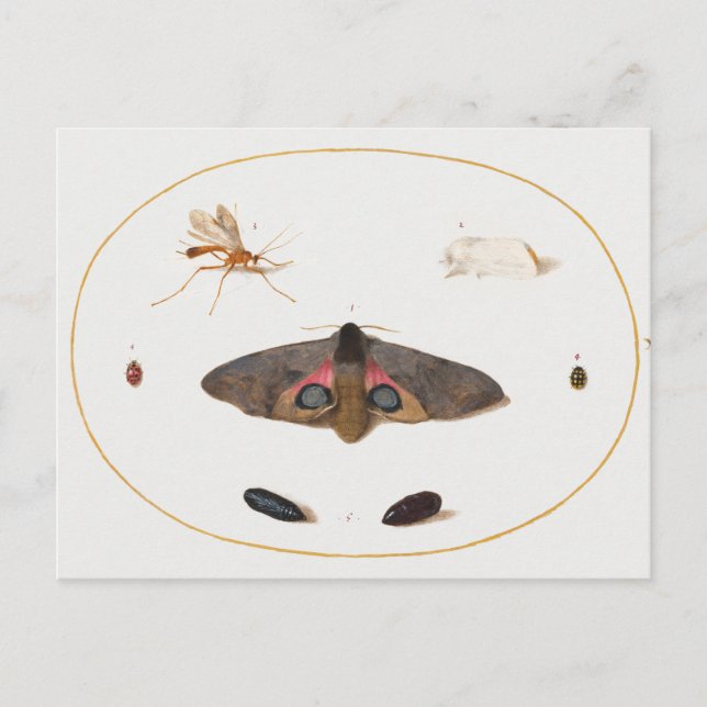 Carte postale (Devant)