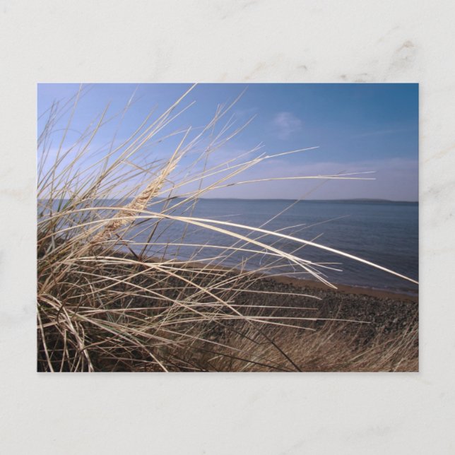 carte postale (Devant)