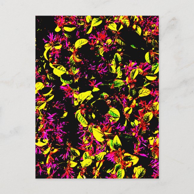 Carte postale (Devant)